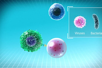 create 3d medical animation video healthcare pharma biotech molecular animation
