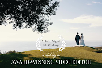 do professional wedding video editing