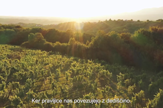 record and edit a clean, slovenian voiceover