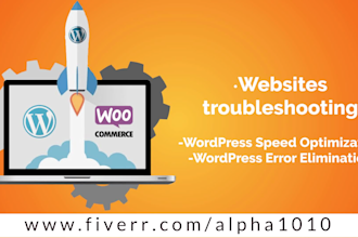 professionally do wordpress speed optimization to improve load time