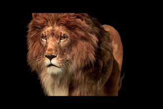 do 3d animal animation, 3d animal model, 3d animal compositing, vfx, 3d cgi