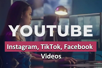 do professional video editing for all platforms in 24 hours