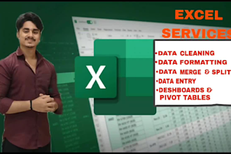 clean, format, merge, and split excel data