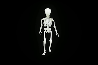 create 3d animated video for hologram fan