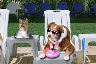 create this funny video ad of dogs chilling at the pool