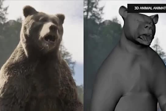 do realistic 3d animal animation, cgi animal model and rig, 3d animal animation