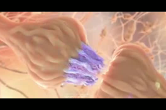 create perfect 3d medical animation and 3d modeling
