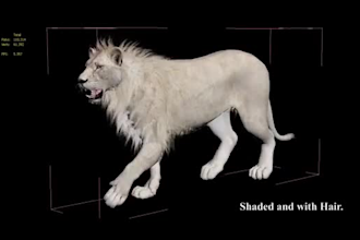 do realistic  3d animal animation, cgi animal model and rig, vfx animal for film