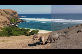 do color correction, color grading of your video
