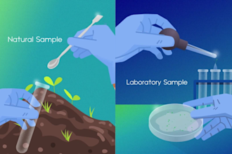 create custom medical and science animation video