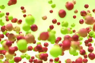create fun kids animation videos and colorful storytelling cartoons for children