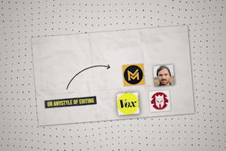 do documentary video editing like vox and magnatesmedia
