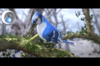 design a custom 3d promotional video