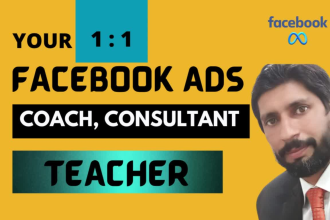 provide you facebook ads training, teaching, coaching and consultation