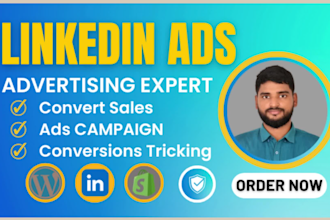 setup and run linkedin ads PPC campaign for higher sales by advertising