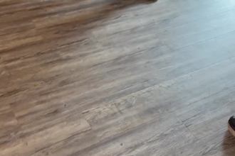 create pet ugc videos for you brand or service