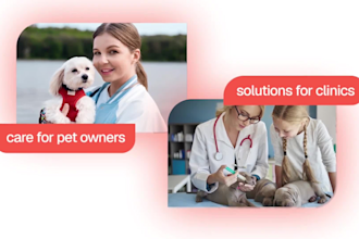 create custom saas explainer video, saas demo video with motion graphics
