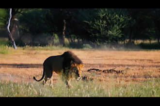 create strategic short video ads
