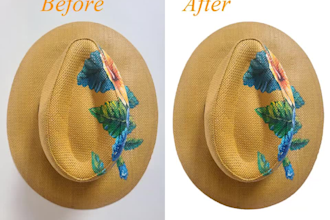 do background removal or cut out images