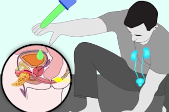create vector line art animation, ad video, opening videos