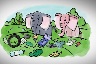 create a custom whiteboard animation video for kids