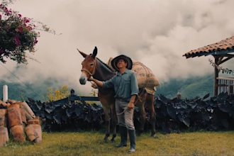 create a stunning brand commercial video