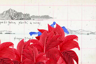 make an animated collage video