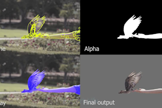 do vfx,rotoscoping,roto,chroma keying professionally