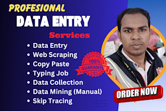 do manual data collection, data scraping, b2b leads generation and data mining