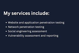 do penetration testing and vulnerability assessment with professional report