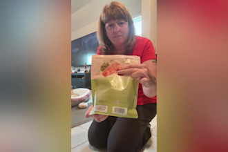 authentic pet ugc videos and product reviews with my french bulldog
