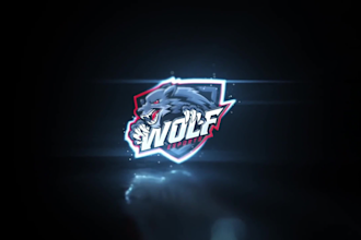 do custom animated logo animation and intro outro video