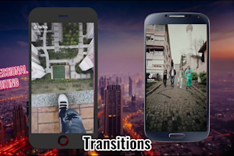 edit tik tok video,ig reels or story professionally