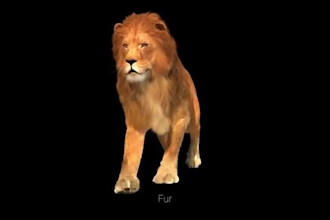 do realistic  3d animal animation, 3d character design, 3d animal animation cgi