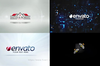 create 3d and 2d logo animation intro within 12hrs
