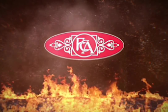 create 10 epic fire logo intro video animation