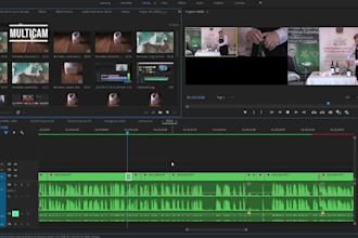 edit your video professionally in premiere or davinci