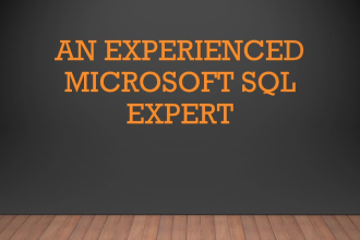 perform expert, quality sql server  query work