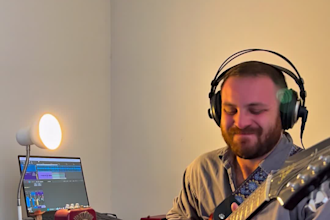 record professional electric guitar in blues, rock and pop styles