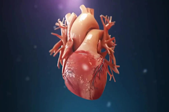 do 3d medical animation 3d surgery procedure video anatomy scientific animation