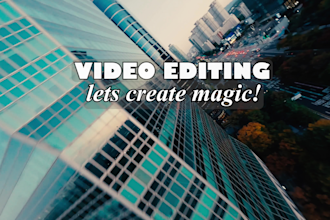 do professional video editing for youtube within 24 hours