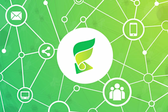 create custom blockchain, ico explainer video