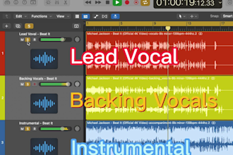 remove lead vocal and keep backing vocals from any songs, custom key for karaoke