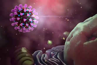 3d medical anatomy animation 3d oncology animation moa hepatology disease video