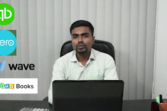 do accounting,  bookkeeping with cloud accounting software