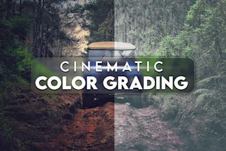 do professional video color grading, color correction, cinematic looks colorist