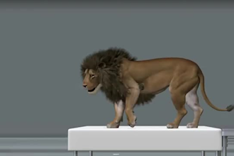 realistic 3d animal model with full rigging, fur, xgen, and HD animation cgi vfx