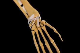 do 3d medical animation video for orthopedic anatomy surgery