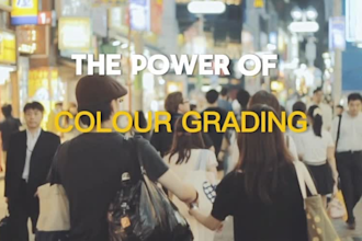 professionally colour grade in one day