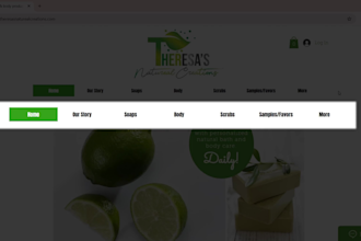 do screencast tutorial or explainer video for website, app or product